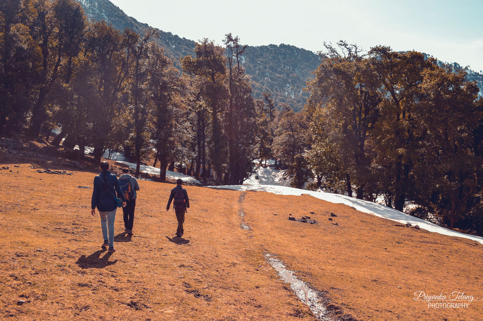 Photo of Have you ever climbed a mountain to meet someone? Well we did - Nag Tibba Summit 34/43 by Priyanka Telang