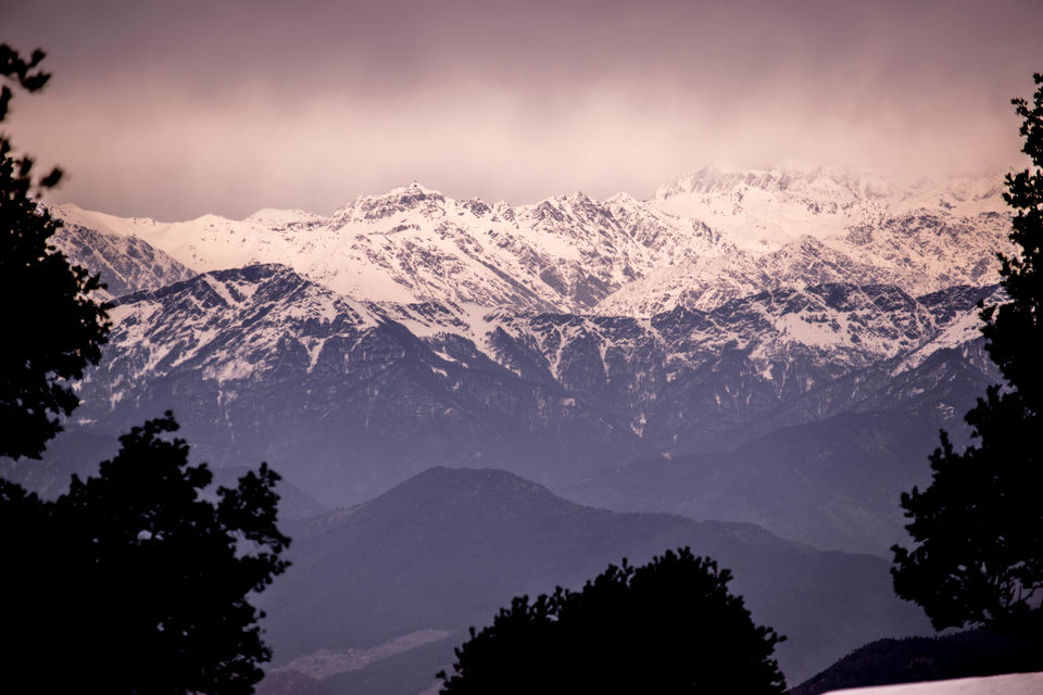 Photo of Have you ever climbed a mountain to meet someone? Well we did - Nag Tibba Summit 30/43 by Priyanka Telang