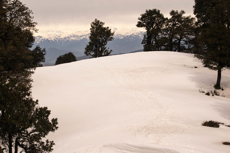 Photo of Have you ever climbed a mountain to meet someone? Well we did - Nag Tibba Summit 31/43 by Priyanka Telang