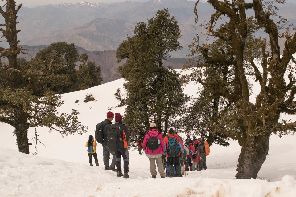 Photo of Have you ever climbed a mountain to meet someone? Well we did - Nag Tibba Summit 32/43 by Priyanka Telang