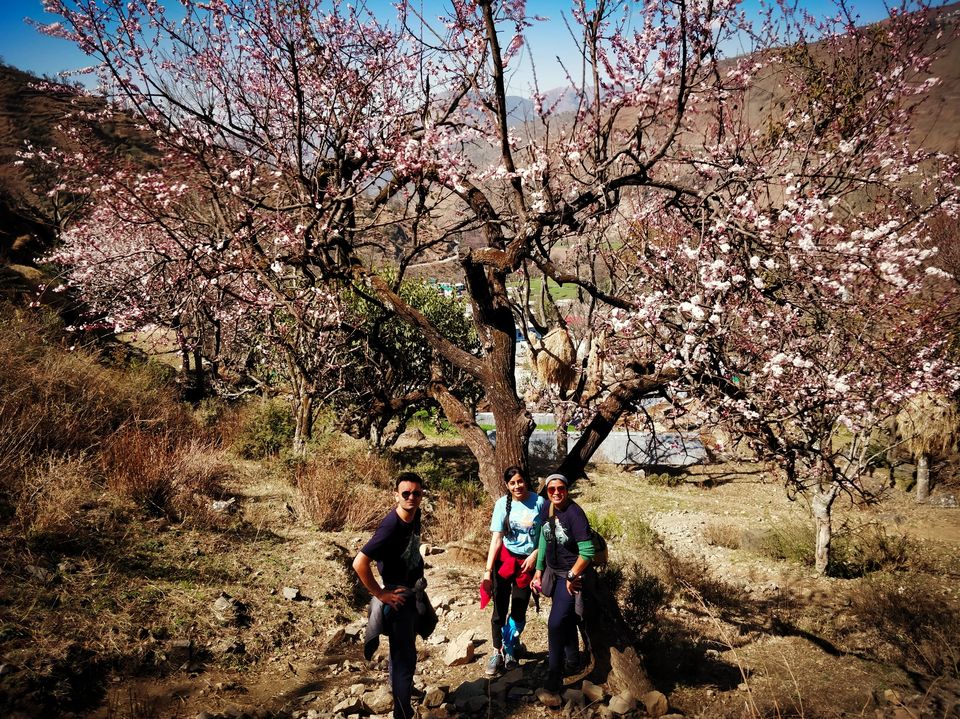 Photo of Have you ever climbed a mountain to meet someone? Well we did - Nag Tibba Summit 38/43 by Priyanka Telang