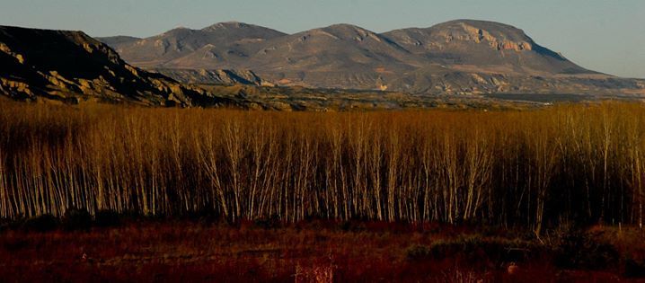Photo of The secret adventure in Spain 12/75 by Priyanka Telang