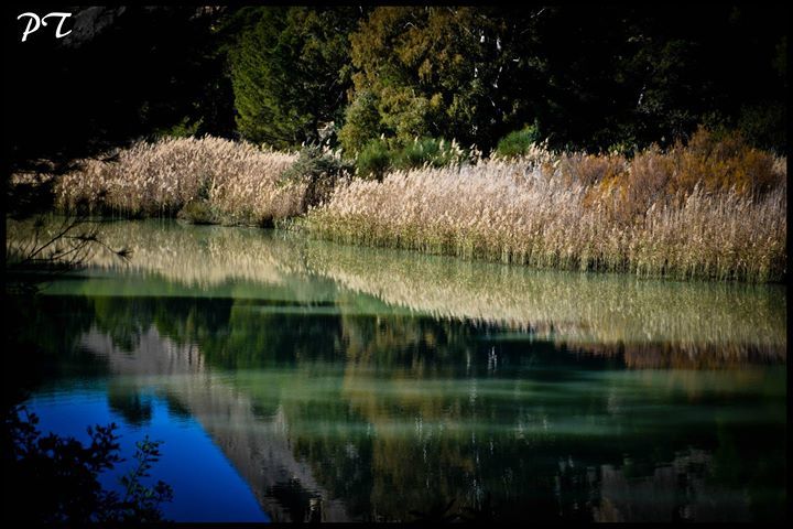 Photo of The secret adventure in Spain 9/75 by Priyanka Telang