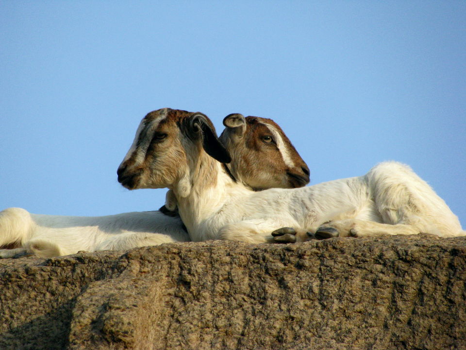 Photo of Mahabalipuram, Tamil Nadu, India by Subhrajyoti Parida