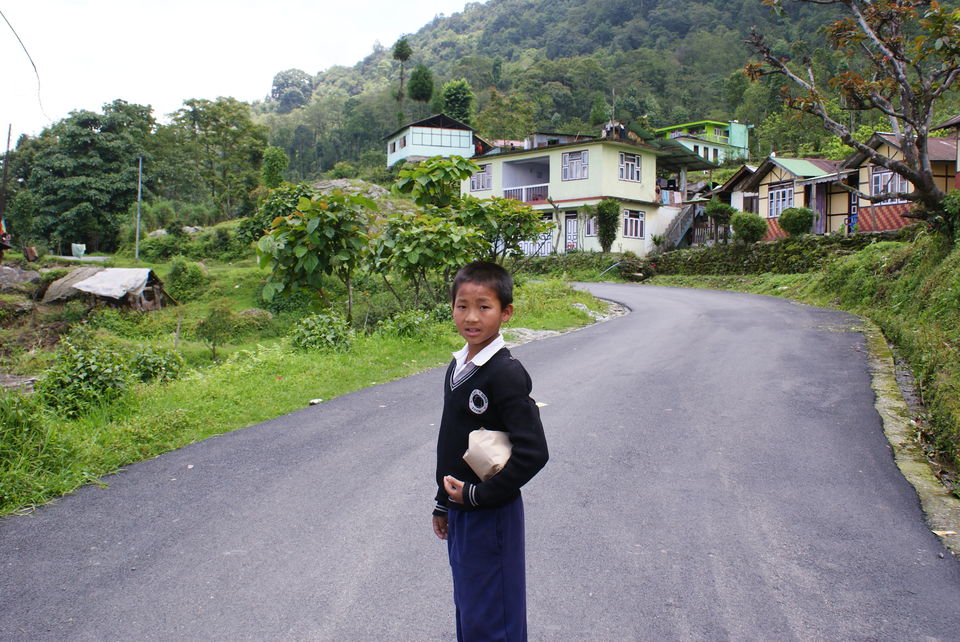 Photo of A curious native.. by Subhrajyoti Parida