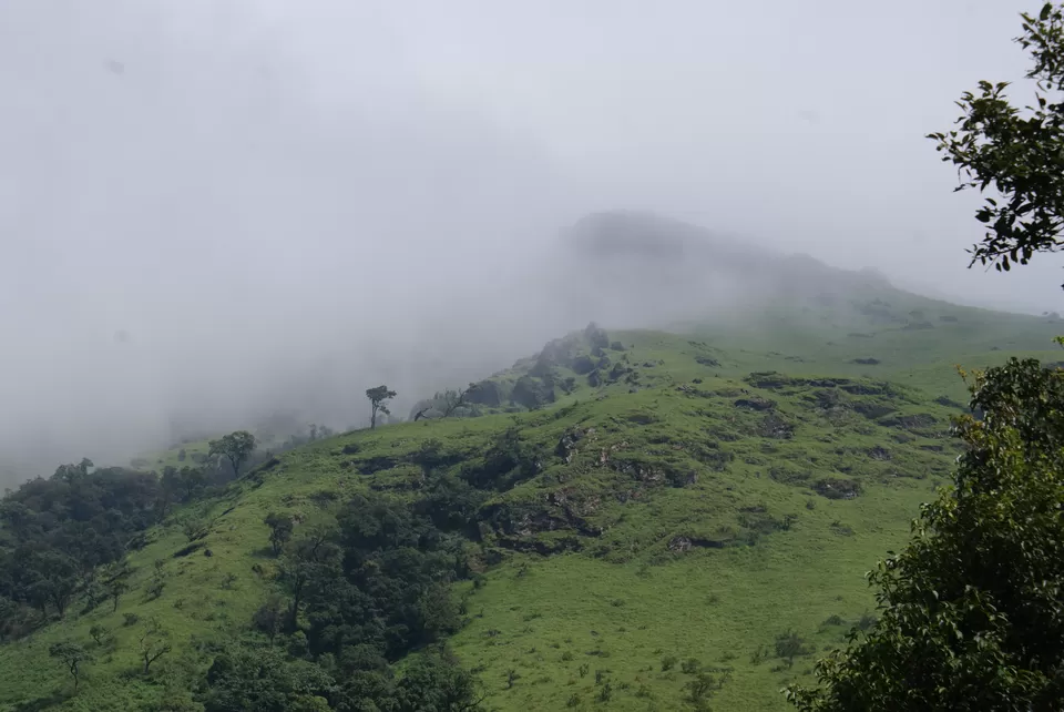Photo of Kemmannugundi, Chickmagaluru, Karnataka, India by Subhrajyoti Parida