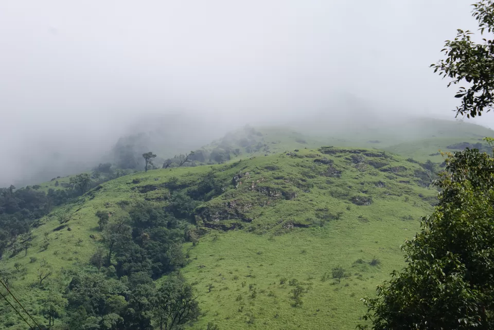 Photo of Kemmannugundi, Chickmagaluru, Karnataka, India by Subhrajyoti Parida