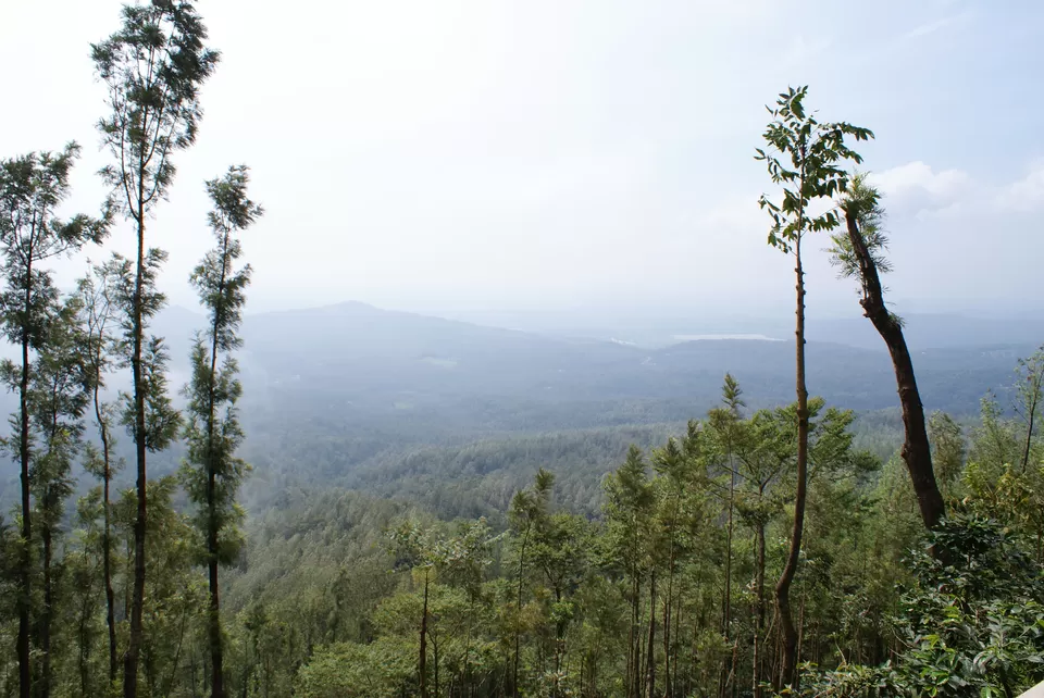 Photo of Kemmannugundi, Chickmagaluru, Karnataka, India by Subhrajyoti Parida
