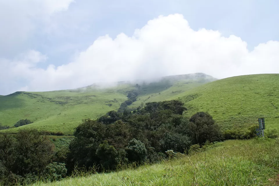 Photo of Kemmannugundi, Chickmagaluru, Karnataka, India by Subhrajyoti Parida