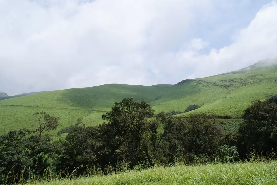 Photo of Kemmannugundi, Chickmagaluru, Karnataka, India by Subhrajyoti Parida