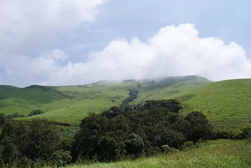 Photo of Kemmannugundi, Chickmagaluru, Karnataka, India by Subhrajyoti Parida