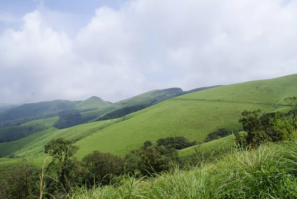 Photo of Kemmannugundi, Chickmagaluru, Karnataka, India by Subhrajyoti Parida