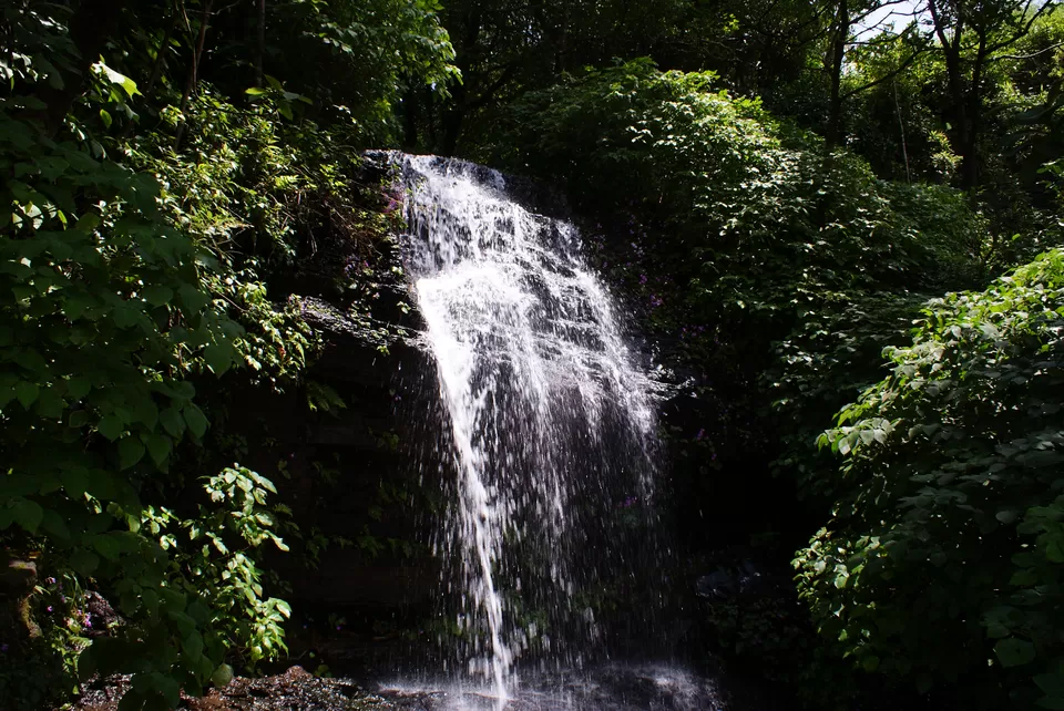 Photo of Kemmannugundi, Chickmagaluru, Karnataka, India by Subhrajyoti Parida