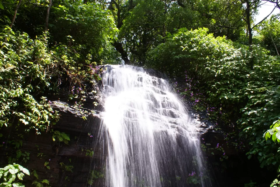 Photo of Kemmannugundi, Chickmagaluru, Karnataka, India by Subhrajyoti Parida