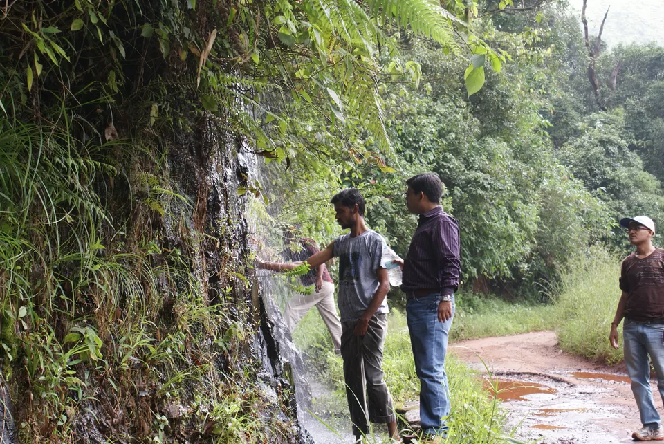 Photo of Kemmannugundi, Chickmagaluru, Karnataka, India by Subhrajyoti Parida
