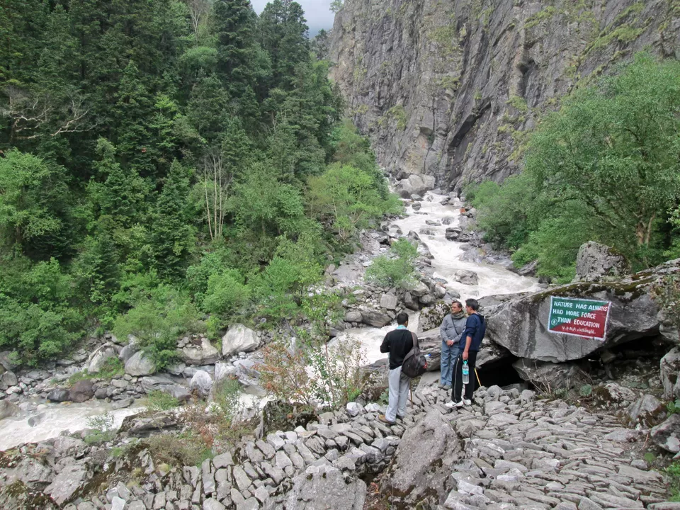 Photo of Valley of Flowers National Park, Uttarakhand, India by shankar singh dhapola