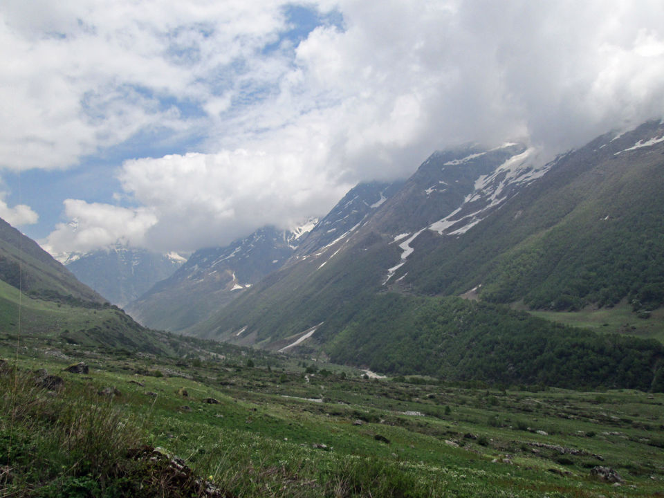 Photo of Valley of Flowers National Park, Uttarakhand, India by shankar singh dhapola