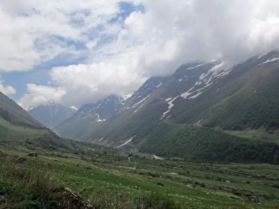 Photo of Valley of Flowers National Park, Uttarakhand, India by shankar singh dhapola