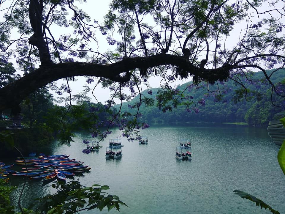 Photo of Backpacking to Nepal 25/38 by Achintya Raval