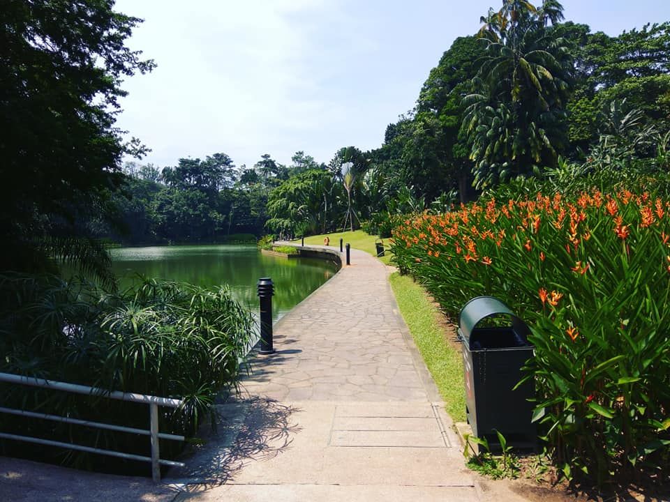 Photo of Budget trip to Singapore. 14/21 by Achintya Raval