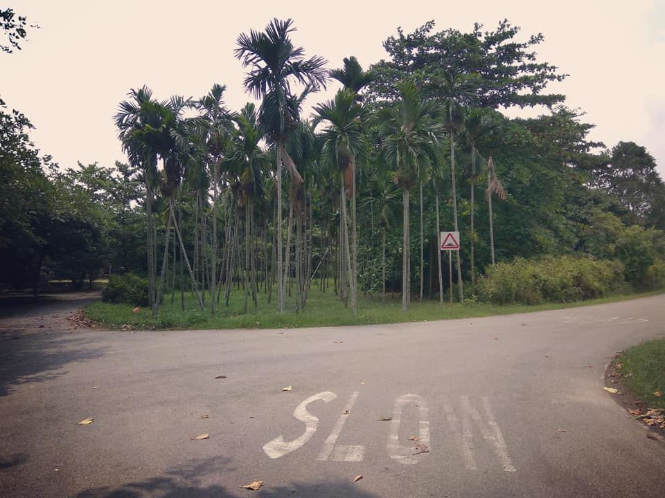 Photo of Budget trip to Singapore. 20/21 by Achintya Raval