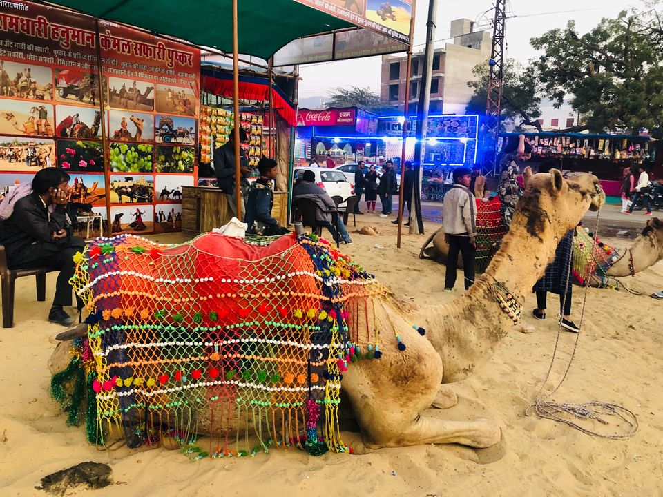 Photo of Pushkar : A Weekend Getaway 1/1 by Mahita Sharma