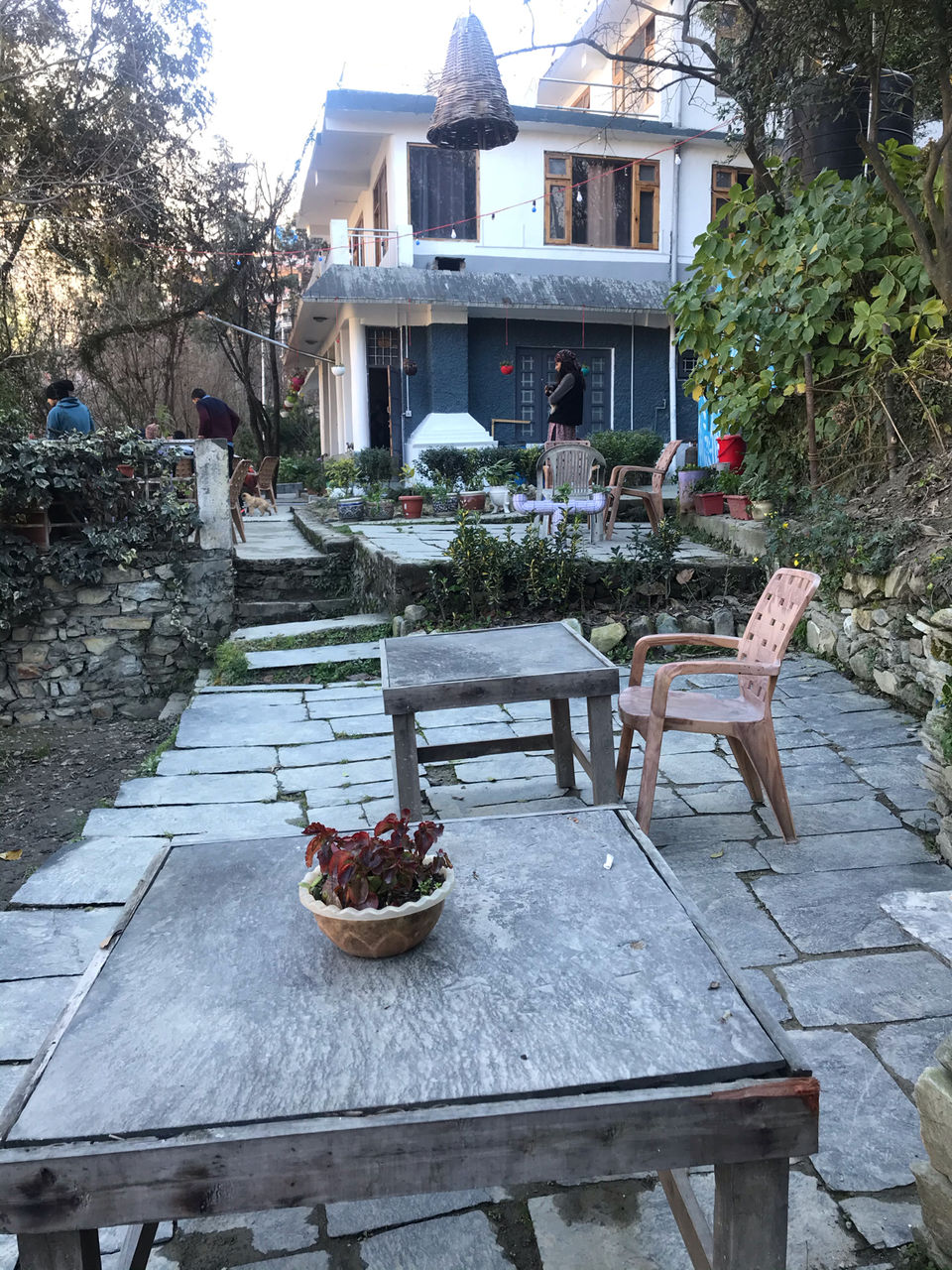 Photo of Tirthan Valley, Pekhri, Himachal Pradesh, India by priyanshi jain