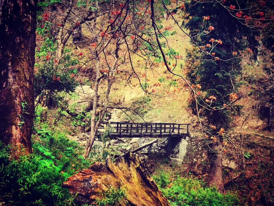 Photo of Kedarkantha Trek, Kedarkantha Trek Road, Bhel Chowk, Karanpur, Dehradun, Uttarakhand, India by Steffy Munjal