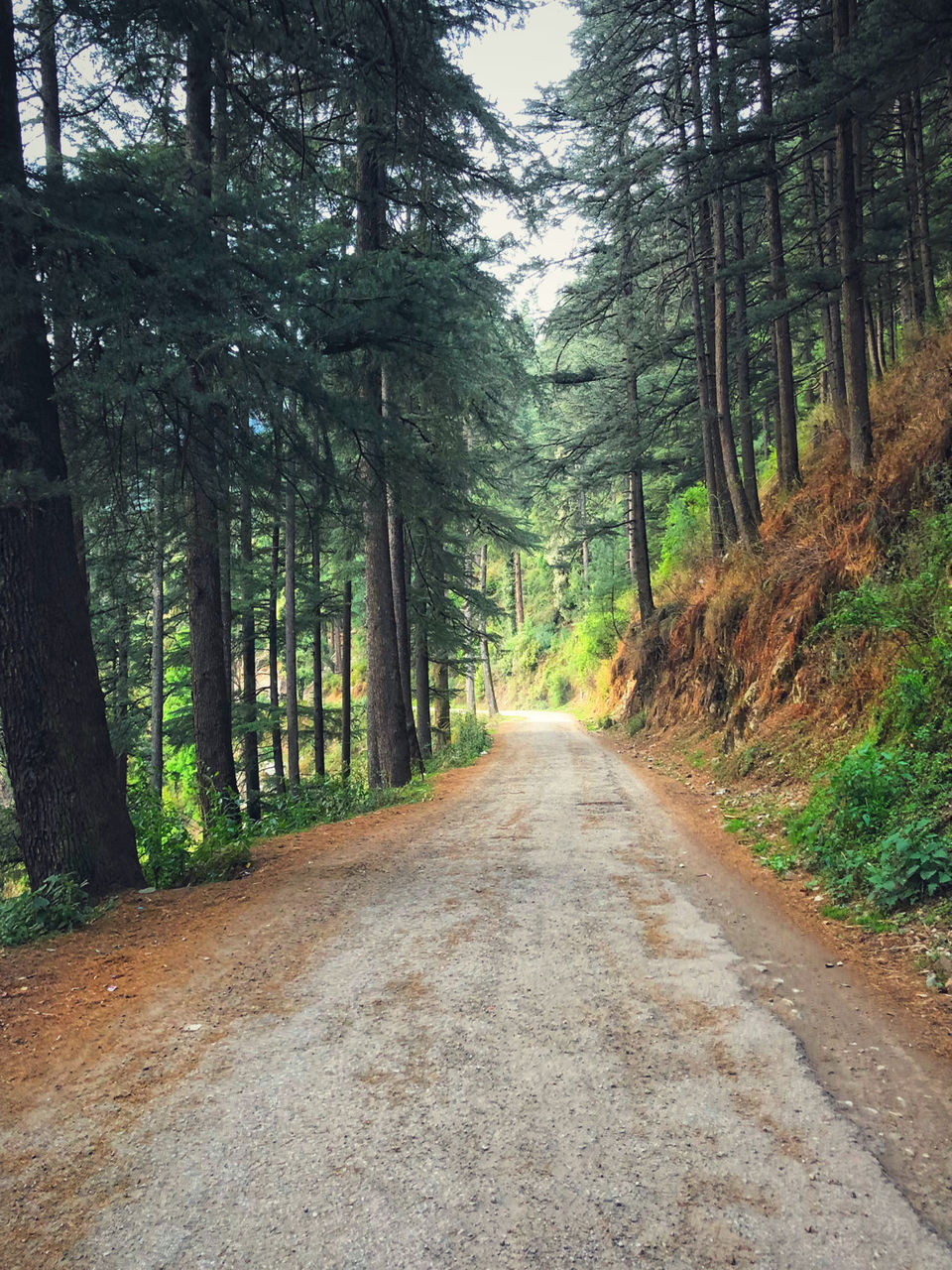 Photo of Winter Trek for Beginners_Complete Guide From Delhi To delhi by Steffy Munjal