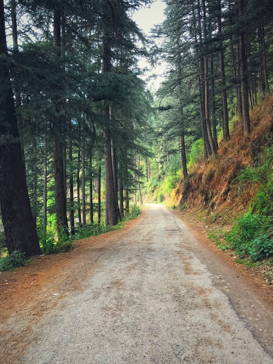 Photo of Winter Trek for Beginners_Complete Guide From Delhi To delhi by Steffy Munjal