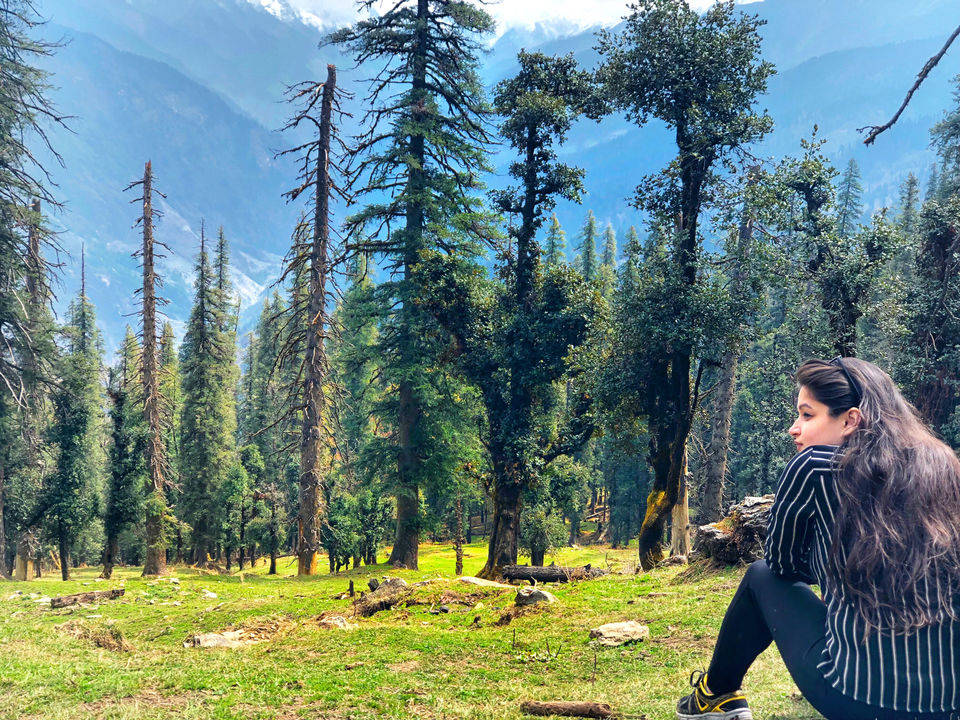 Photo of Winter Trek for Beginners_Complete Guide From Delhi To delhi by Steffy Munjal