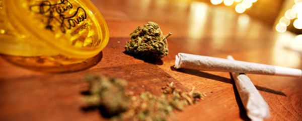 Photo of Amateur's Guide to Amsterdam by Shanay Shah