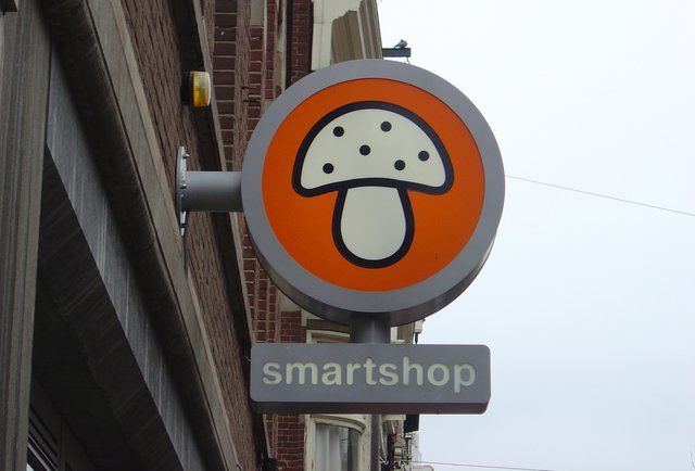 Photo of Amateur's Guide to Amsterdam by Shanay Shah