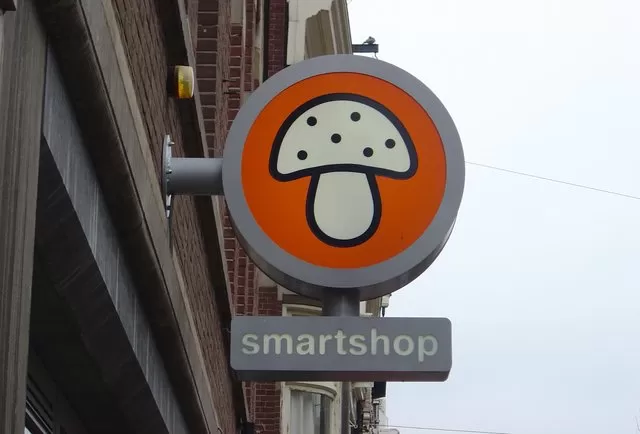 Photo of Amateur's Guide to Amsterdam by Shanay Shah
