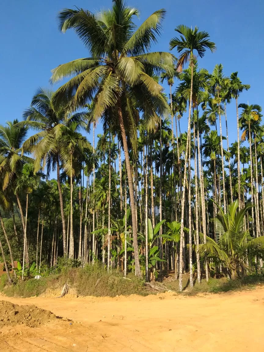Photo of Gokarna for 1st timers by Sandip B.