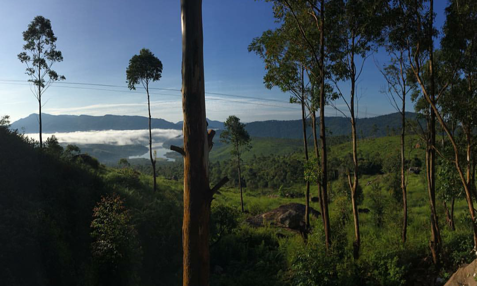 Photo of Munnar, Kerala, India by Shireena Jose