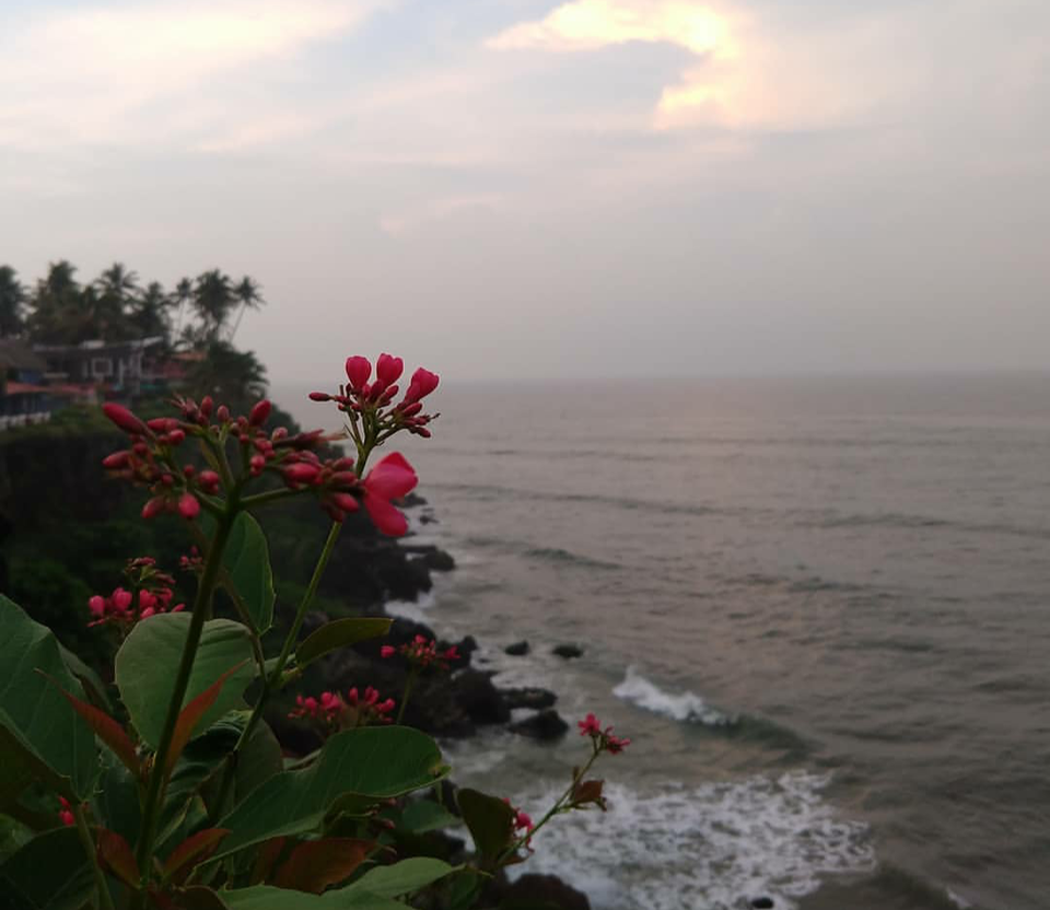 Photo of Varkala Beach, Kerala by Shireena Jose