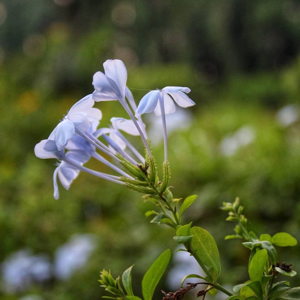 Photo of Kala Talao Lake, Kalyan, India by Rishabh Shukla