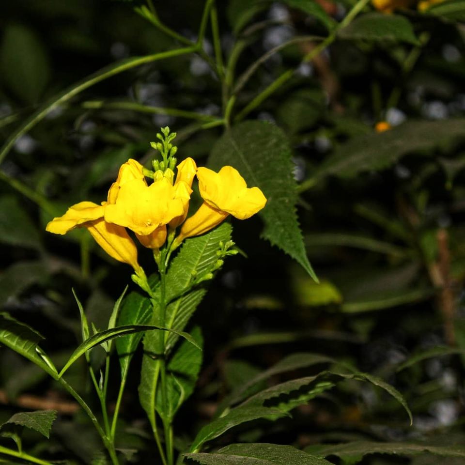Photo of Kala Talao Lake, Kalyan, India by Rishabh Shukla