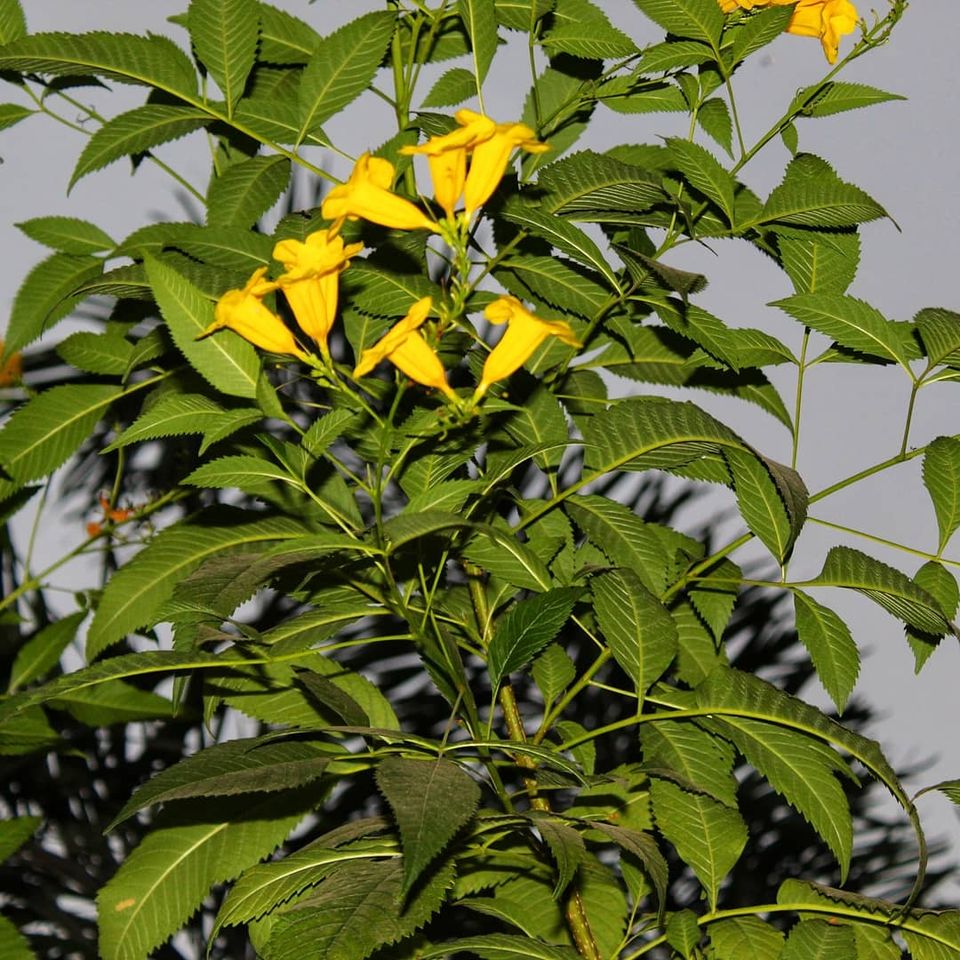 Photo of Kala Talao Lake, Kalyan, India by Rishabh Shukla