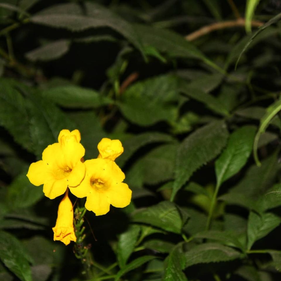Photo of Kala Talao Lake, Kalyan, India by Rishabh Shukla