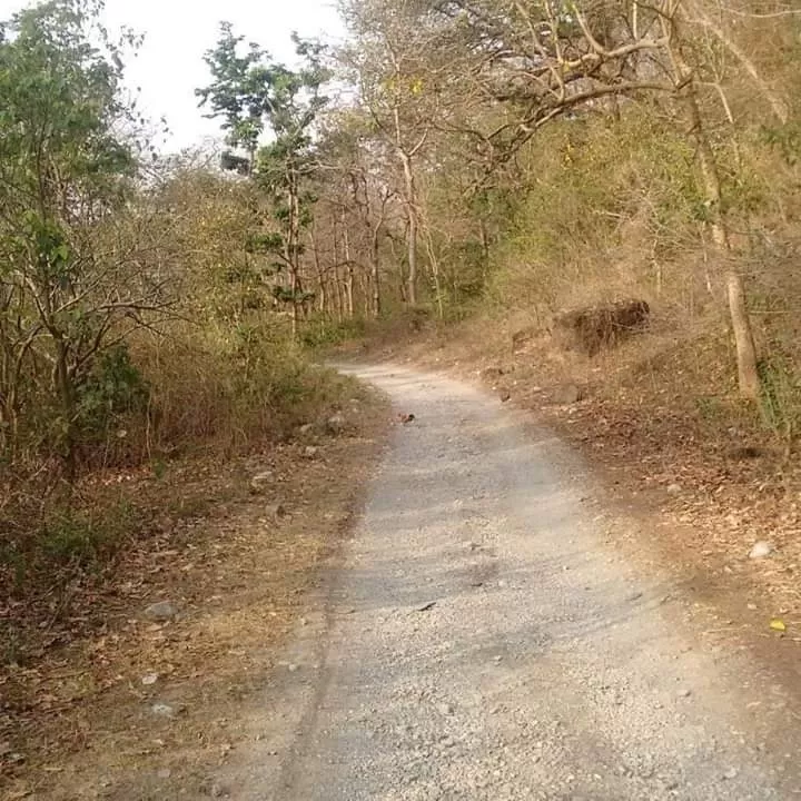 Photo of जीम कार्बेट नैशनल पार्क, उत्तराखंड #LuxuryTripIndia by Rishabh Shukla