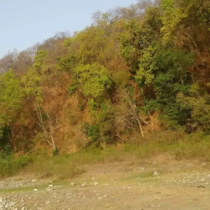 Photo of जीम कार्बेट नैशनल पार्क, उत्तराखंड #LuxuryTripIndia by Rishabh Shukla