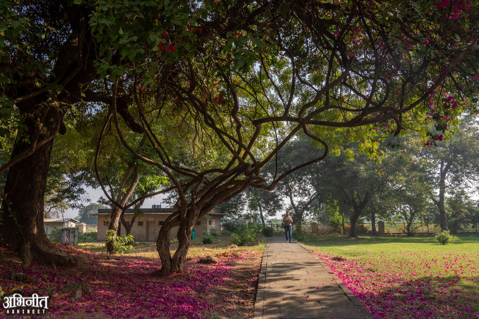 Photo of Champaner- Defining the Allure of Offbeat India! 10/18 by Juhi Gautam