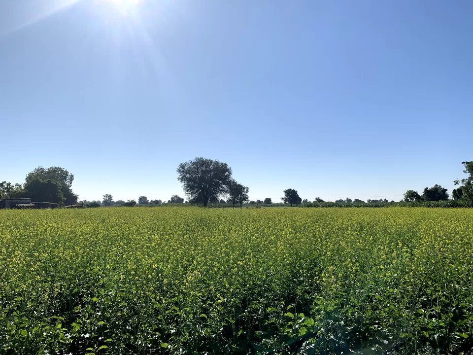 Photo of NH-48, Gujarat, India by Juhi Gautam
