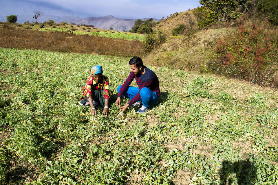 Photo of Solo Trek - Nag Tibba by Raju_Ghumakkad
