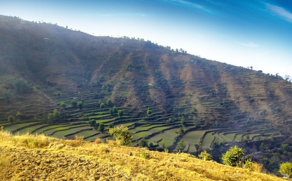 Photo of Solo Trek - Nag Tibba by Raju_Ghumakkad