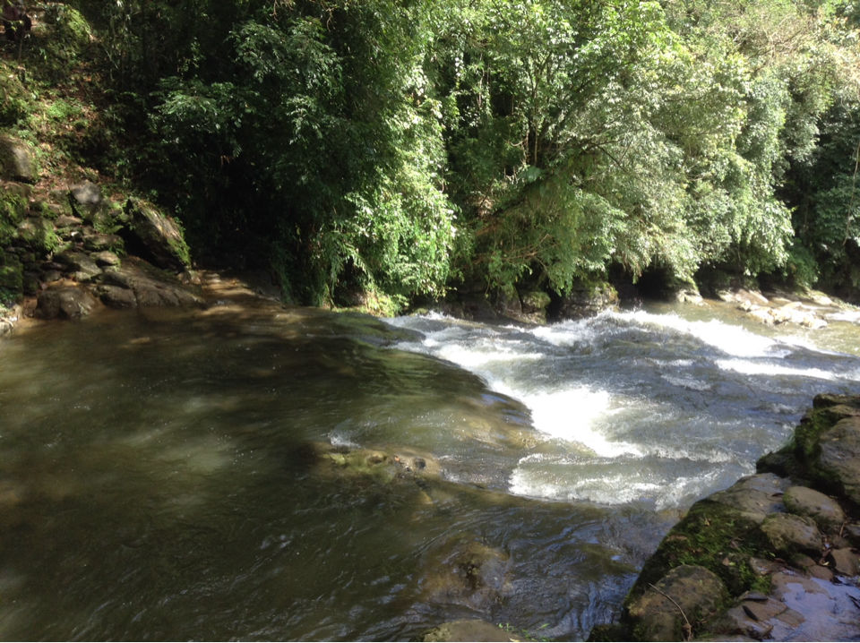 Photo of Mawlynnong: The Science Of Traditional Root Bridges 1/7 by Arch