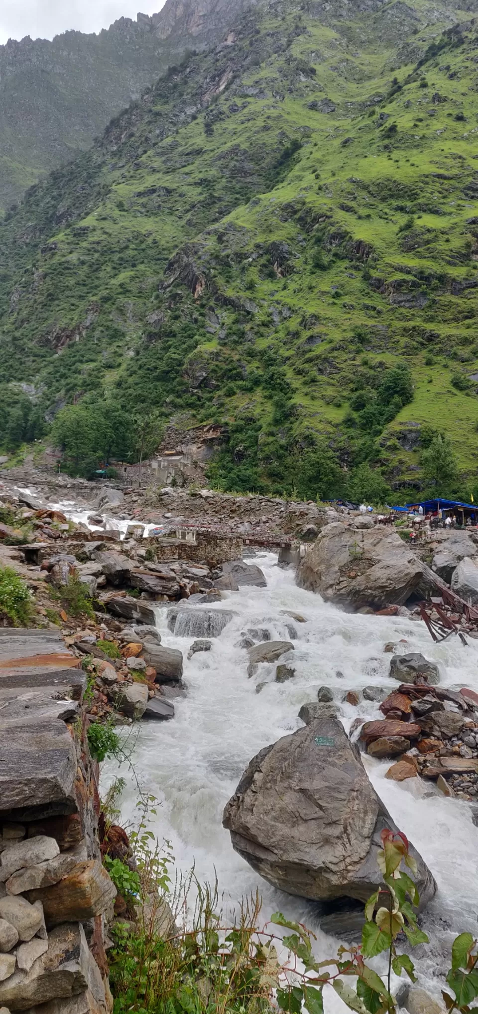 Photo of Valley of flowers Trek (Unforgettable experience) #viewfromthetop by Anant Singh Rajput