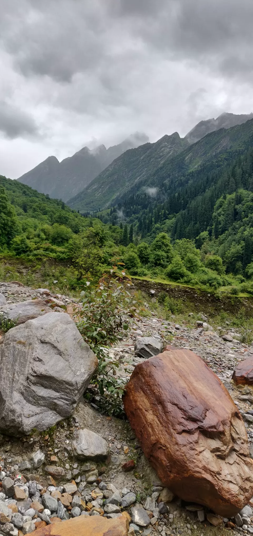 Photo of Valley of flowers Trek (Unforgettable experience) #viewfromthetop by Anant Singh Rajput
